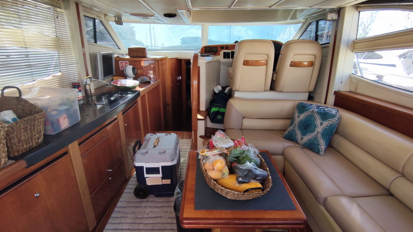 Sealine 45