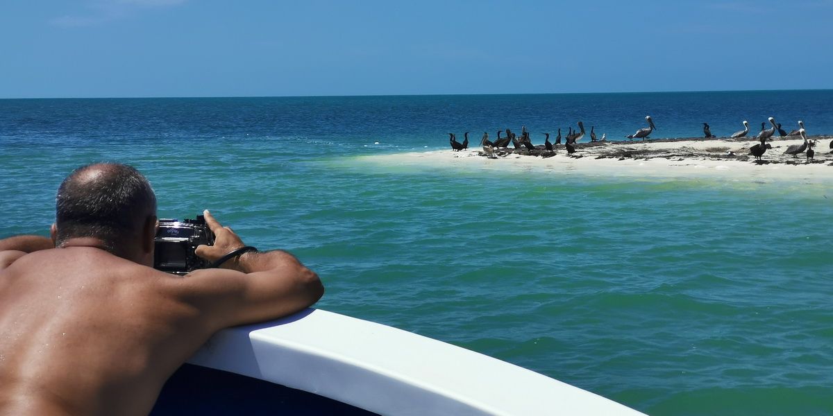 3 Islands snorkel and bird watching