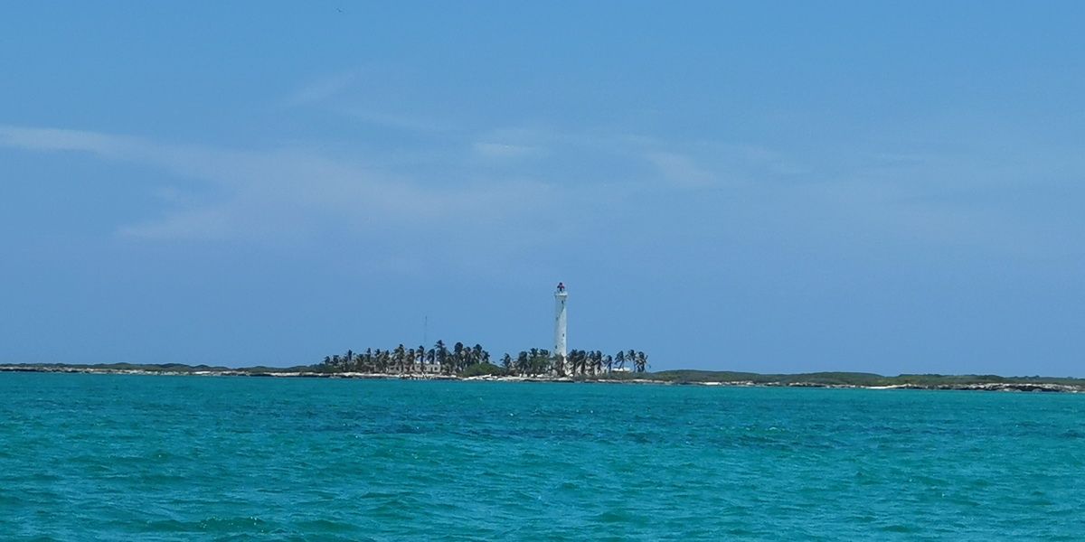 3 Islands snorkel and bird watching