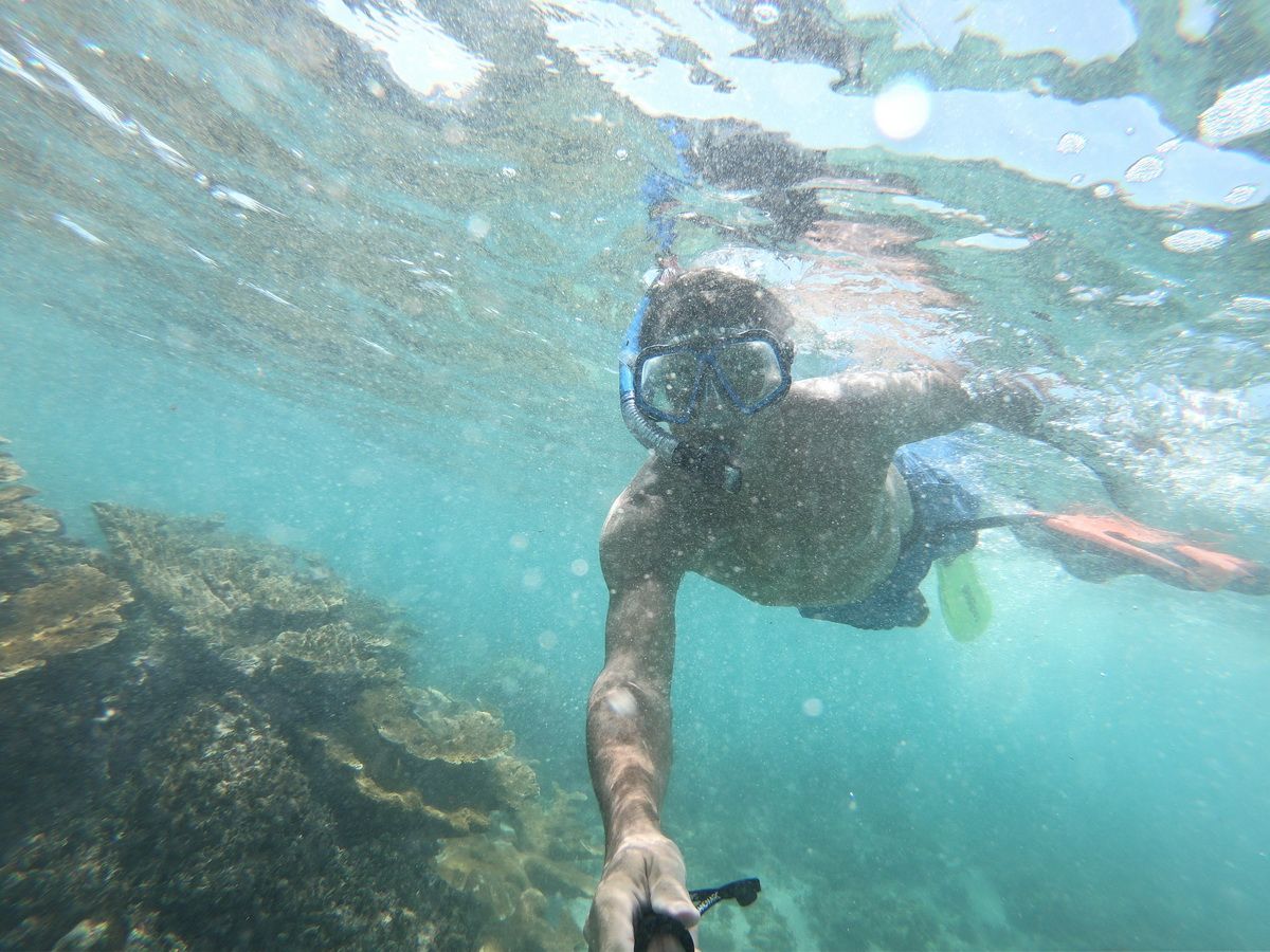 3 Islands snorkel and bird watching