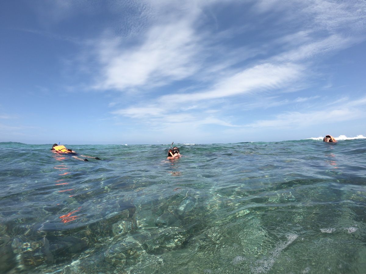 3 Islands snorkel and bird watching