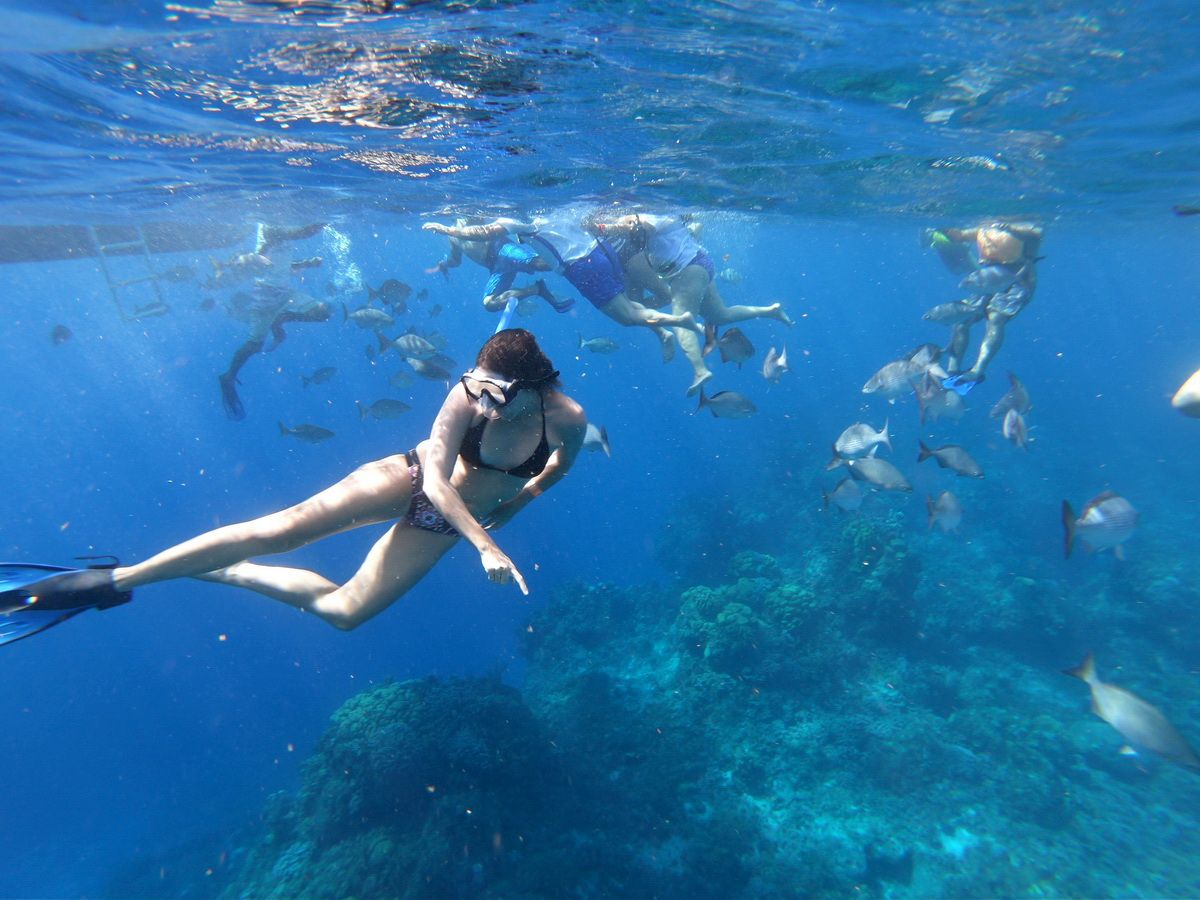 3 Islands snorkel and bird watching