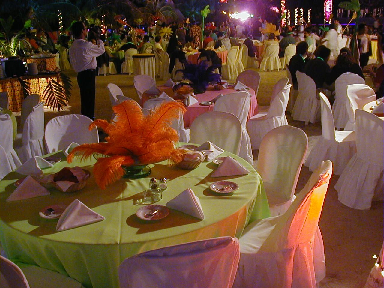 Caribbean Carnaval Party Boat