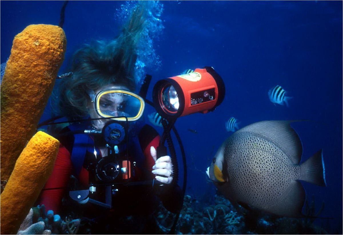 Dive Cancun and Isla Mujeres from your yacht