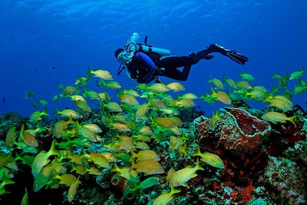 Dive Cancun and Isla Mujeres from your yacht